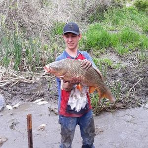 Meet your Posher, Cody